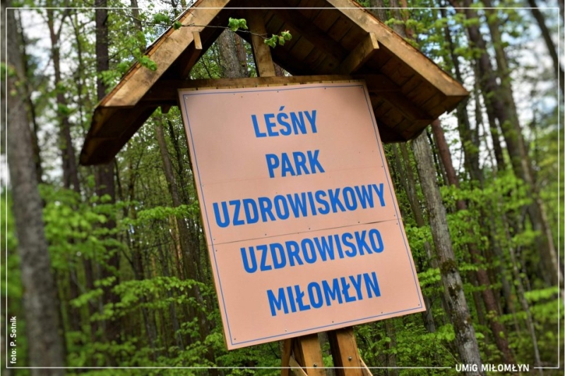 Tablica informacyjna - Leśny Park Uzdrowiskowy Uzdrowisko Miłomłyn.