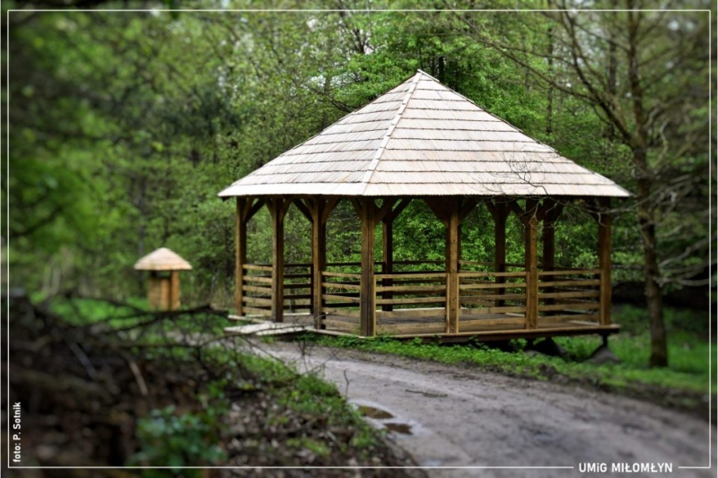 Leśny Park Uzdrowiskowy. Altana na skraju ścieżki leśnej.